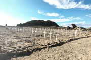 MEDIA STATEMENT: CLARIFICATION ON THE REBURIAL PROCESS OF THE KHOI AND SAN REMAINS
